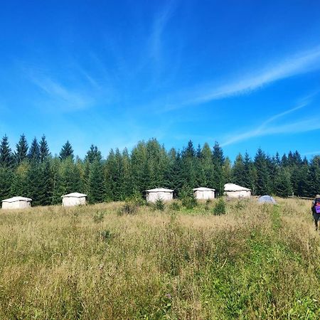 Eco Glamping - Carpathians. Retreat Hub Dzin Space Верховина Екстериор снимка