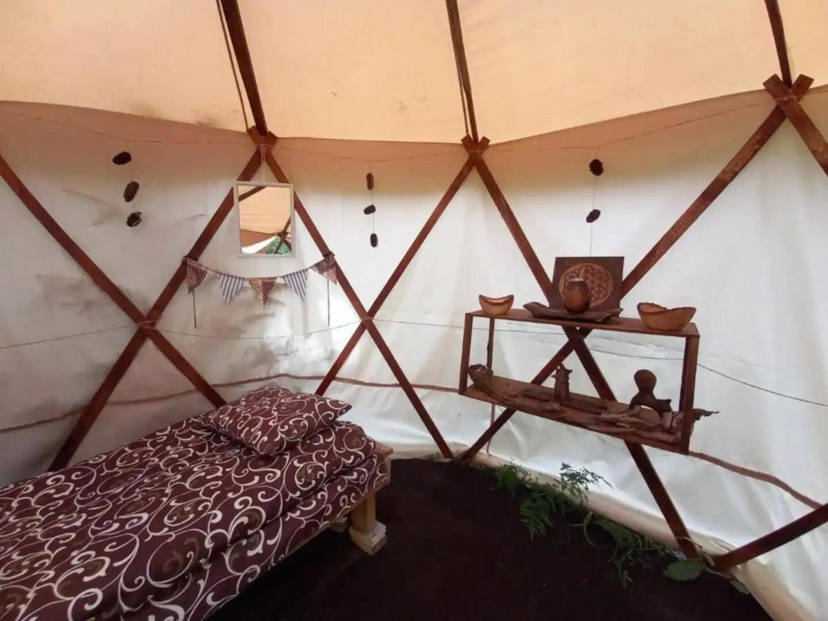 Eco Glamping - Carpathians. Retreat Hub Dzin Space Верховина Екстериор снимка