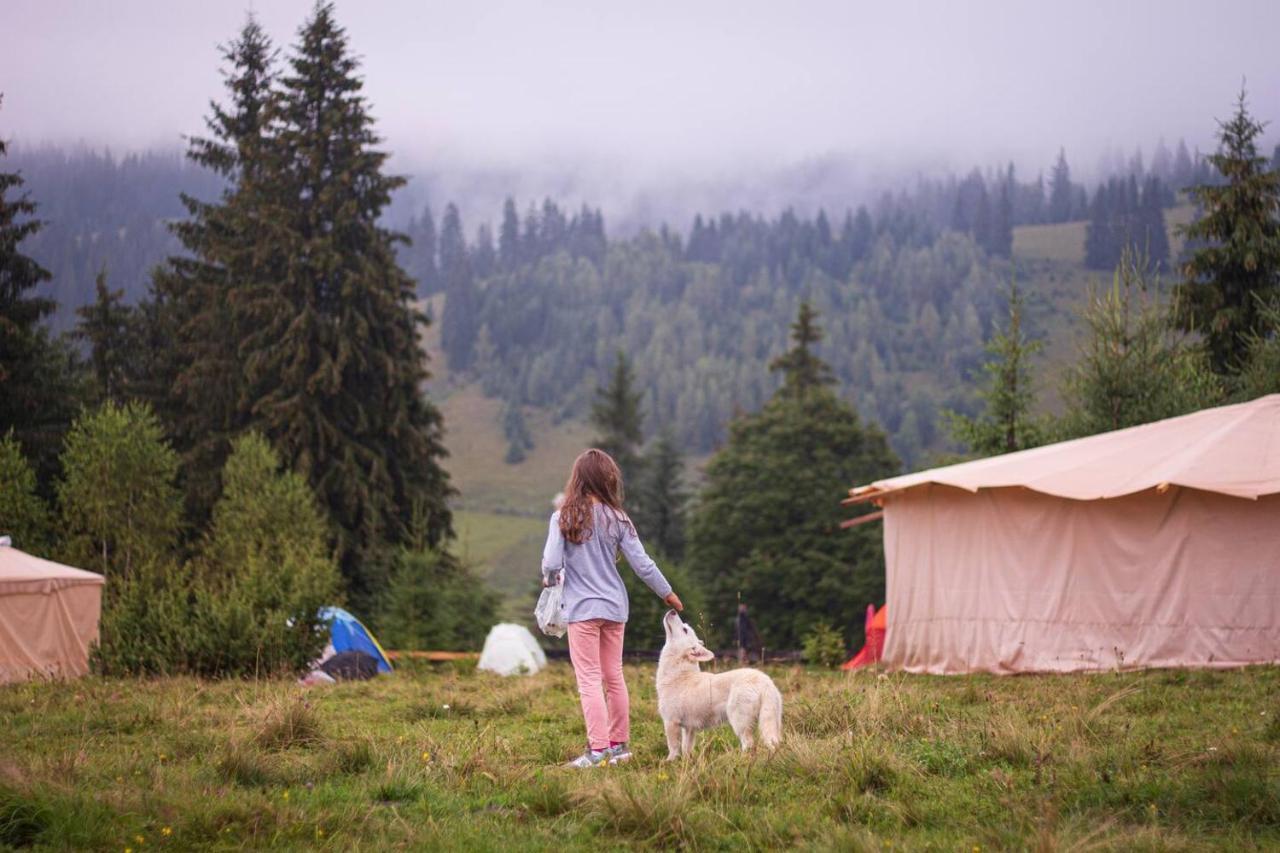 Eco Glamping - Carpathians. Retreat Hub Dzin Space Верховина Екстериор снимка