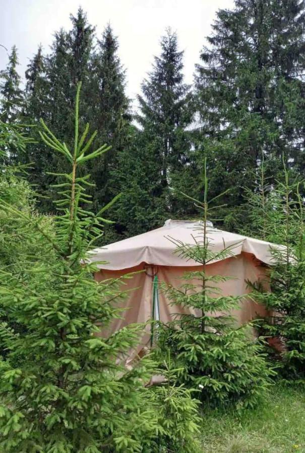 Eco Glamping - Carpathians. Retreat Hub Dzin Space Верховина Екстериор снимка