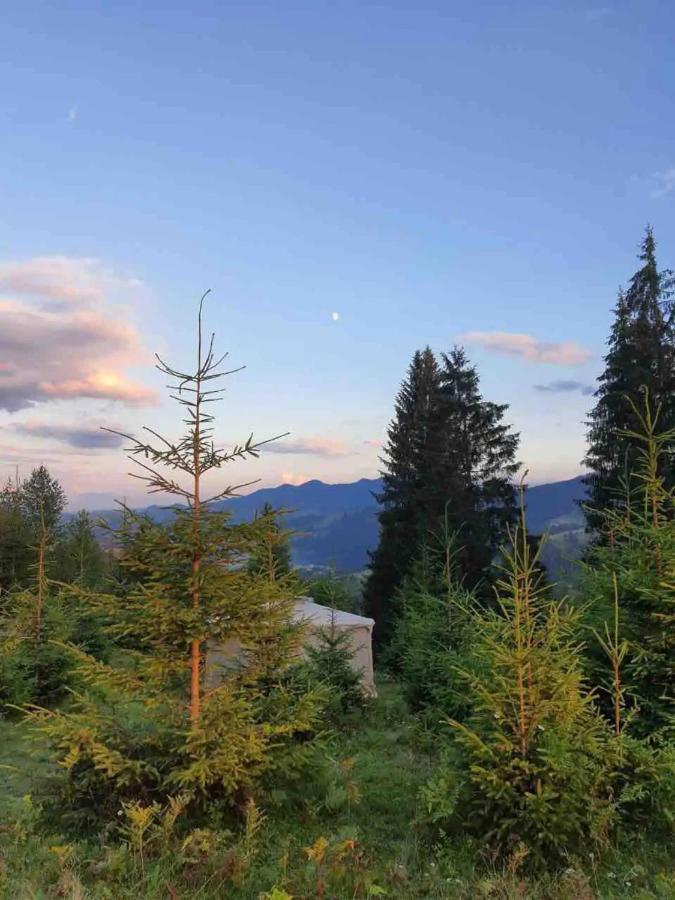 Eco Glamping - Carpathians. Retreat Hub Dzin Space Верховина Екстериор снимка