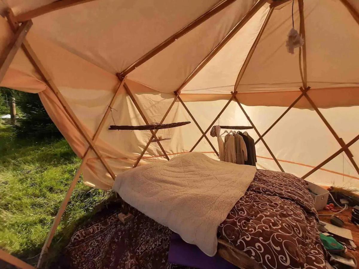 Eco Glamping - Carpathians. Retreat Hub Dzin Space Верховина Екстериор снимка