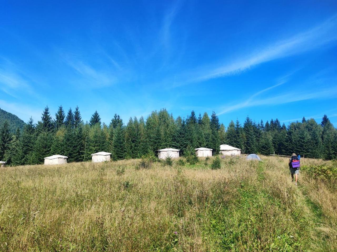 Eco Glamping - Carpathians. Retreat Hub Dzin Space Верховина Екстериор снимка